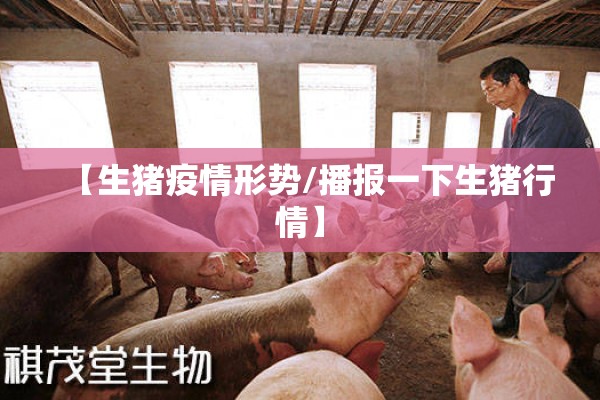 【21年苹果期货行情如何/2021苹果期货最新消息】