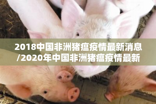 2018中国非洲猪瘟疫情最新消息/2020年中国非洲猪瘟疫情最新消息
