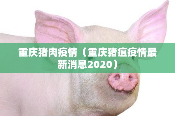 如何防控疫情?/如何防控疫情,几个步骤