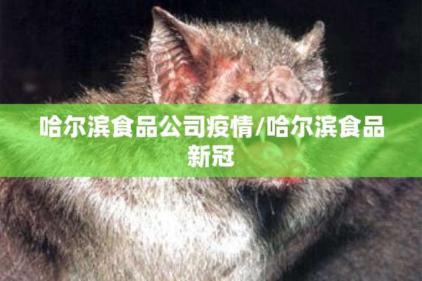 哈尔滨食品公司疫情/哈尔滨食品新冠 哈尔滨食品公司疫情/哈尔滨食品新冠