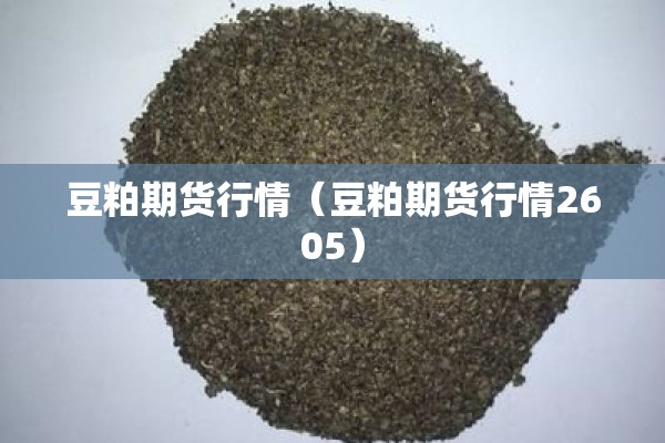 豆粕期货行情（豆粕期货行情2605）