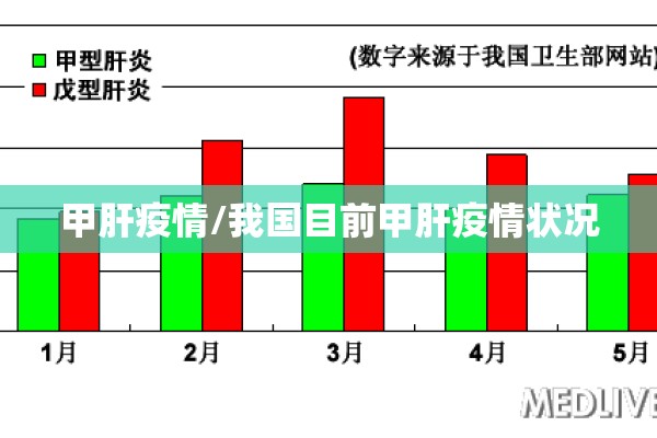 甲肝疫情/我国目前甲肝疫情状况 甲肝疫情/我国目前甲肝疫情状况