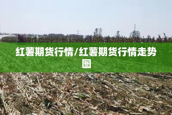 疫情情况严峻/疫情形势严峻什么意思