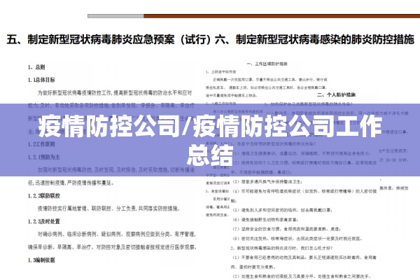 疫情防控公司/疫情防控公司工作总结
