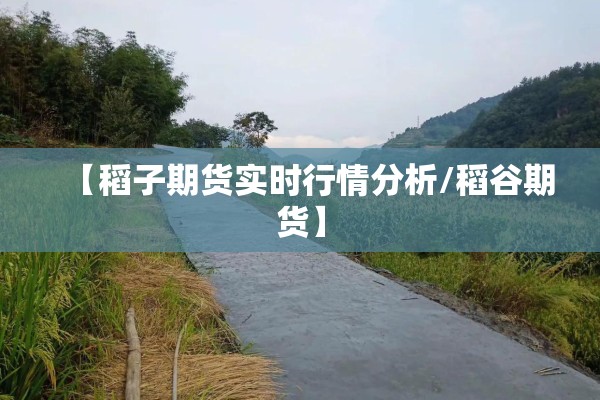 【稻子期货实时行情分析/稻谷期货】