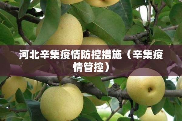 河北辛集疫情防控措施（辛集疫情管控）