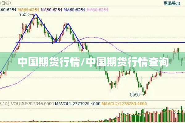 【上海疫情区在哪里,上海疫情具体地点】