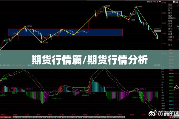 【上海疫情区在哪里,上海疫情具体地点】