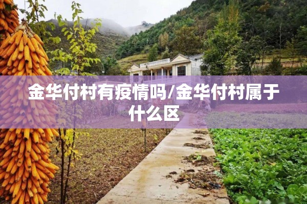 金华付村有疫情吗/金华付村属于什么区