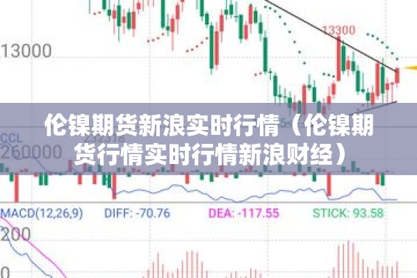 丁嘉力疫情/丁嘉力现在的现状图片