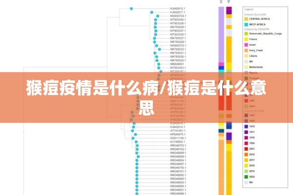 猴痘疫情是什么病/猴痘是什么意思