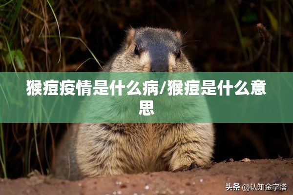 2022吉林疫情捐款明细（2022吉林疫情捐款明细公布）