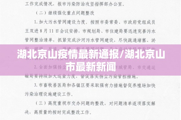疫情出国必备:疫情出国需要什么手续和证件