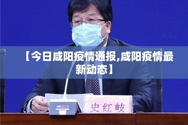 铁矿股票期货早盘行情（铁矿期货今日）