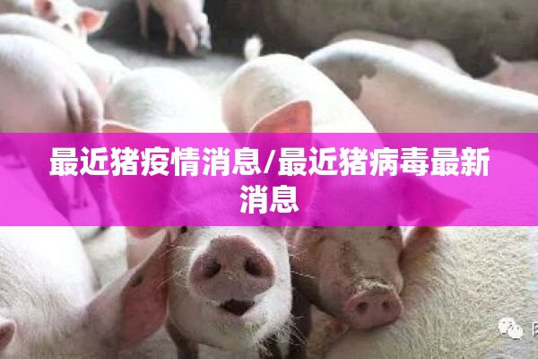 【镇海疫情最新消息,镇海疫情动态】