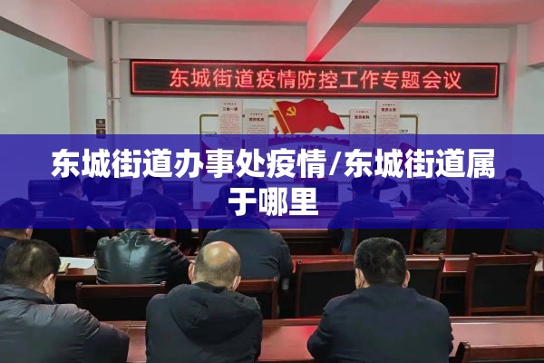 东城街道办事处疫情/东城街道属于哪里