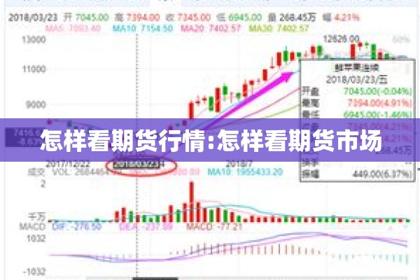 怎样看期货行情:怎样看期货市场