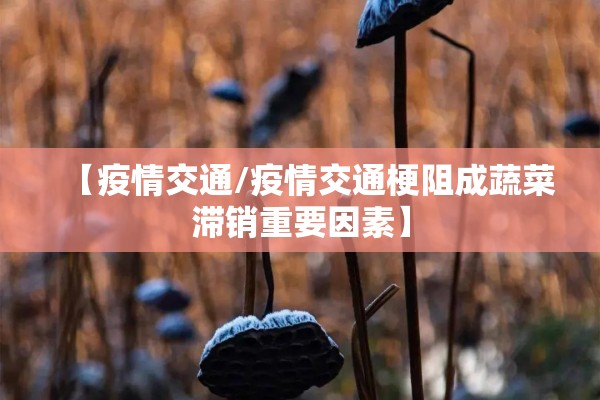 疫情期间航空公司数据:疫情期间我国对航空公司有哪些规定和要求