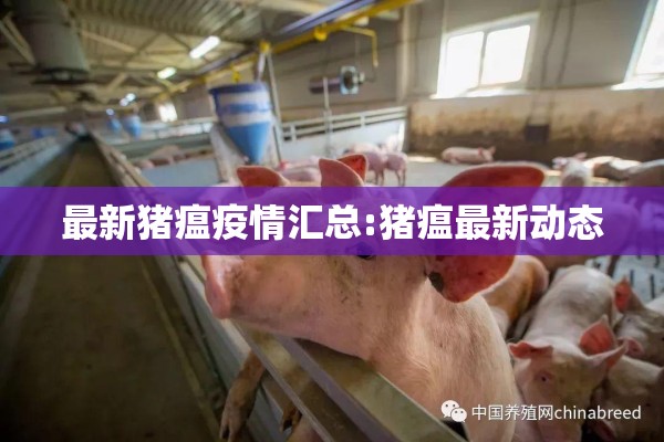 板材期货行情走势/板材市场的走势