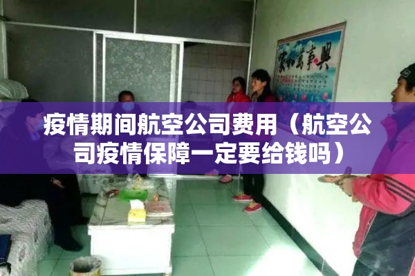疫情期间航空公司费用（航空公司疫情保障一定要给钱吗）