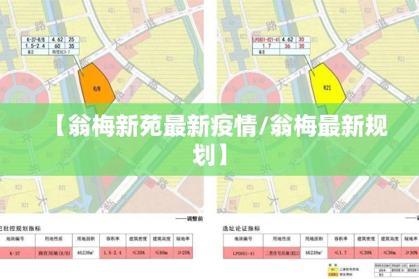 【翁梅新苑最新疫情/翁梅最新规划】
