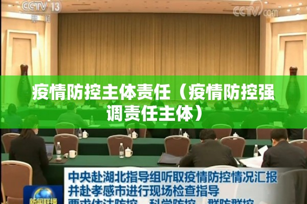 疫情防控主体责任（疫情防控强调责任主体）