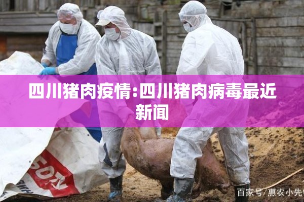 四川猪肉疫情:四川猪肉病毒最近新闻