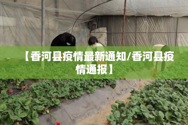 城北体育公园疫情/城北体育公园疫情防控电话