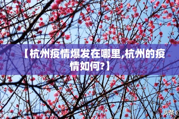 【杭州疫情爆发在哪里,杭州的疫情如何?】 【杭州疫情爆发在哪里,杭州的疫情如何?】