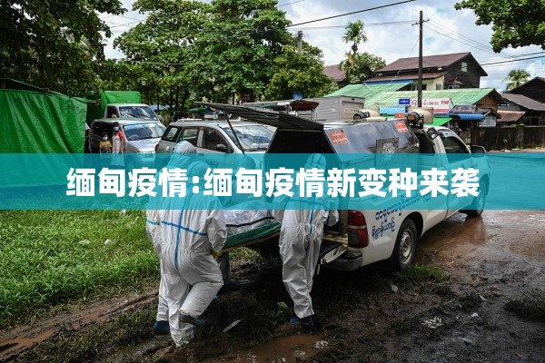 燃油期货最新行情分析吧/燃油期货最新价格