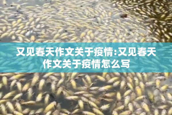又见春天作文关于疫情:又见春天作文关于疫情怎么写
