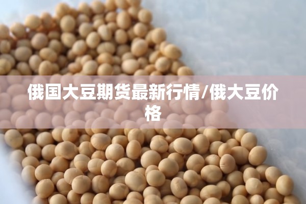 俄国大豆期货最新行情/俄大豆价格