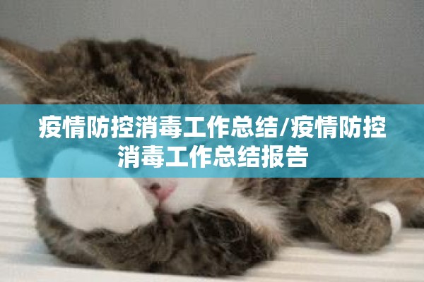 期货行情软件对比/期货软件排行榜