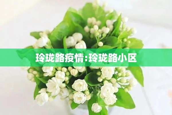 玲珑路疫情:玲珑路小区