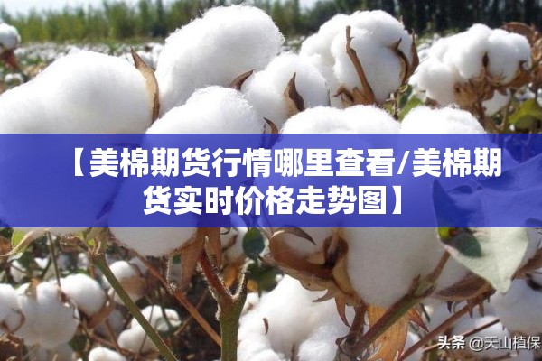 【美棉期货行情哪里查看/美棉期货实时价格走势图】 【美棉期货行情哪里查看/美棉期货实时价格走势图】