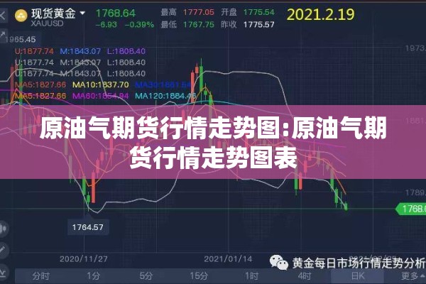 【抗击疫情捐赠/抗疫 捐赠】