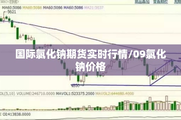 国际氯化钠期货实时行情/09氯化钠价格 国际氯化钠期货实时行情/09氯化钠价格