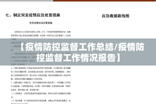 【疫情防控监督工作总结/疫情防控监督工作情况报告】