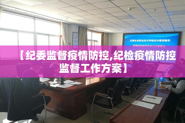 【疫情防控监督工作总结/疫情防控监督工作情况报告】