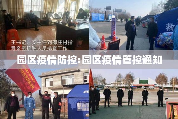 【传染病疫情报告沈阳,沈阳疫情病例传播关系图高清】