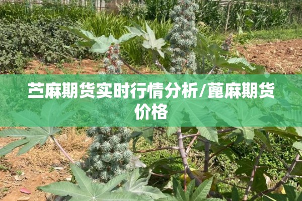 洪阳疫情/洪阳防疫站电话