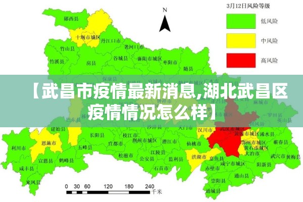 【武昌市疫情最新消息,湖北武昌区疫情情况怎么样】