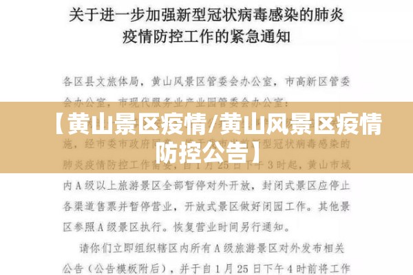 【徐奇渊对疫情的影响/徐奇渊对疫情的影响是什么】