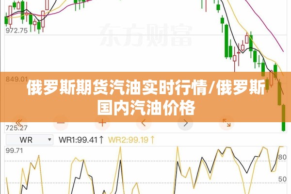 俄罗斯期货汽油实时行情/俄罗斯国内汽油价格