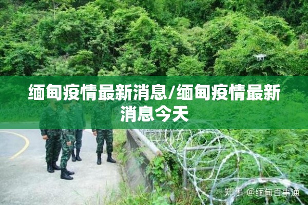 加拿大菜籽期货行情/加拿大菜籽期货最新价