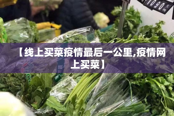 【线上买菜疫情最后一公里,疫情网上买菜】 【线上买菜疫情最后一公里,疫情网上买菜】