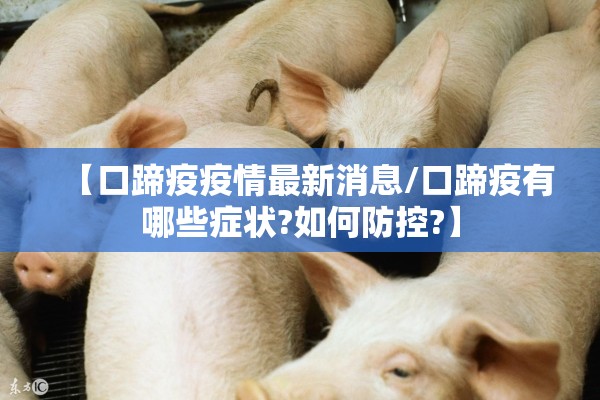 【口蹄疫疫情最新消息/口蹄疫有哪些症状?如何防控?】 【口蹄疫疫情最新消息/口蹄疫有哪些症状?如何防控?】