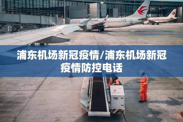 浦东机场新冠疫情/浦东机场新冠疫情防控电话