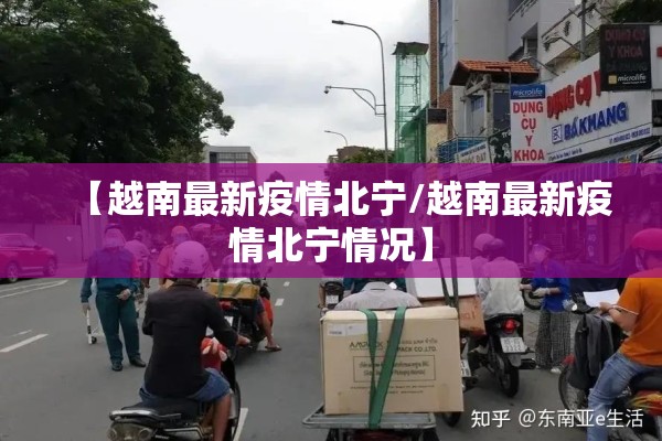 荷兰机场疫情最新通报:荷兰机场疫情最新通报数据