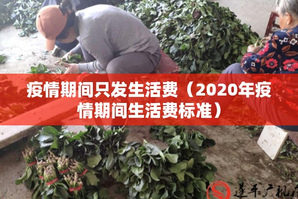 疫情期间只发生活费(2020年疫情期间生活费标准) 疫情期间只发生活费(2020年疫情期间生活费标准)